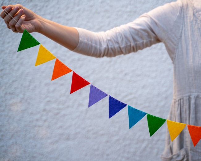 Wool Felt Bunting Garland