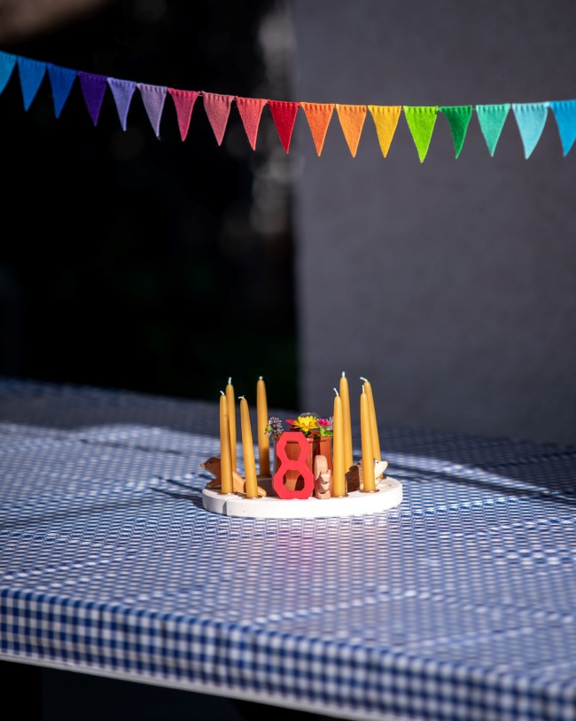 Birthday Picture with Wool Felt Bunting Garland