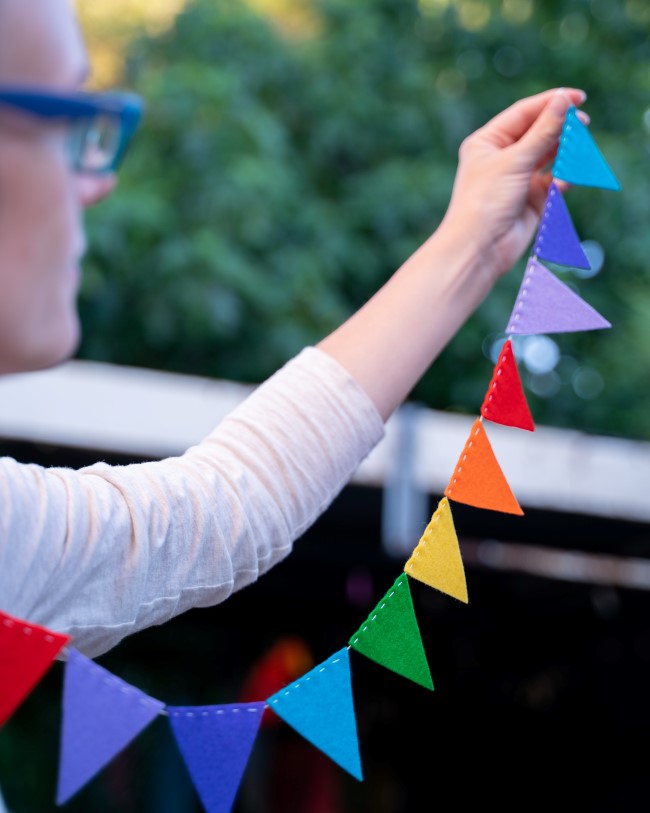 Colorful Wool Felt Bunting Garland